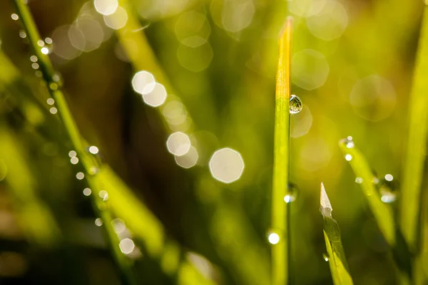 Primer plano de las gotas de agua — Foto de Stock