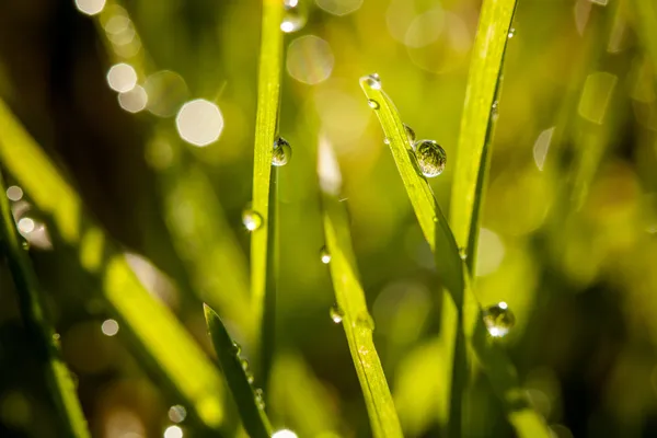 Closeup of waterdrops — Stock Photo, Image