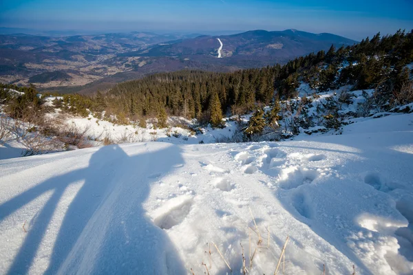 Gyönyörű téli napsütéses fotó a beskid-hegység — Stock Fotó