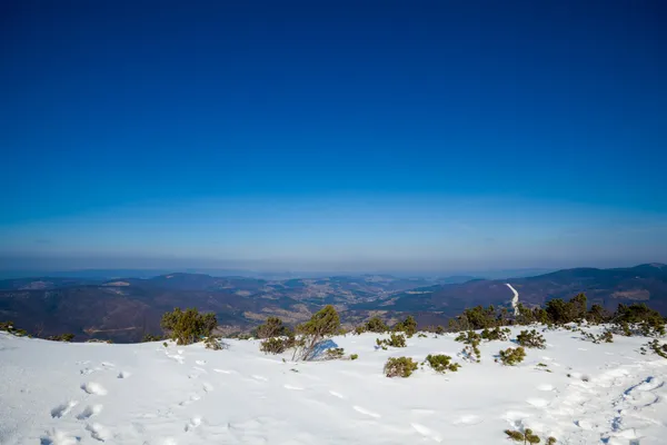 Belle photo d'hiver ensoleillée prise dans les montagnes Beskid — Photo