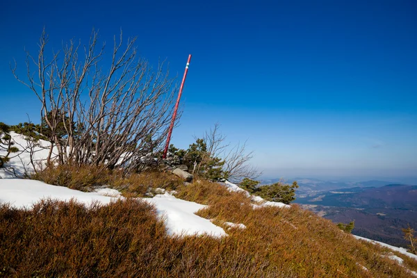 Beautiful winter sunny photo taken in Beskid mountains — Stock Photo, Image