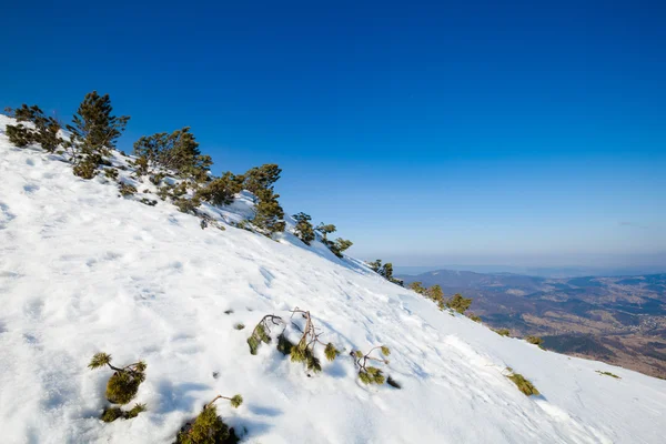 Belle photo d'hiver ensoleillée prise dans les montagnes Beskid — Photo