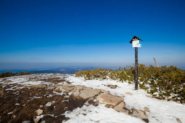 Vackra vinter soliga foto taget i bergen beskid — Stockfoto