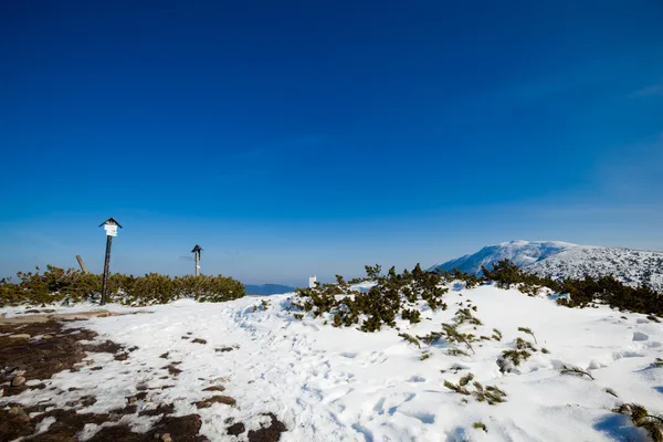 Belle photo d'hiver ensoleillée prise dans les montagnes Beskid — Photo