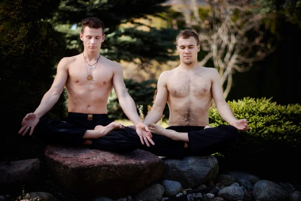 Séance de yoga en plein air dans un bel endroit - méditation — Photo