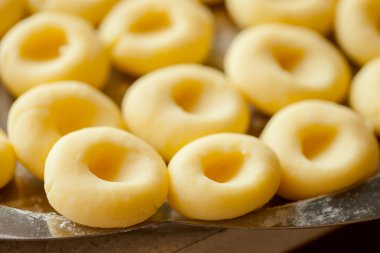 ev yapımı silesian şehriye kümesi