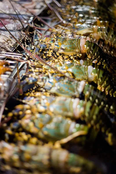 Delicious Colorful Local Seafood Market Traditional Vietnamese Cuisine Hoi Vietnam — Stockfoto