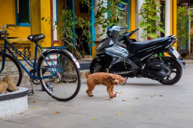 Hoi An, Vietnam - Şubat 2020: Vietnam 'ın dünya mirasının güzel simgesi Hoian