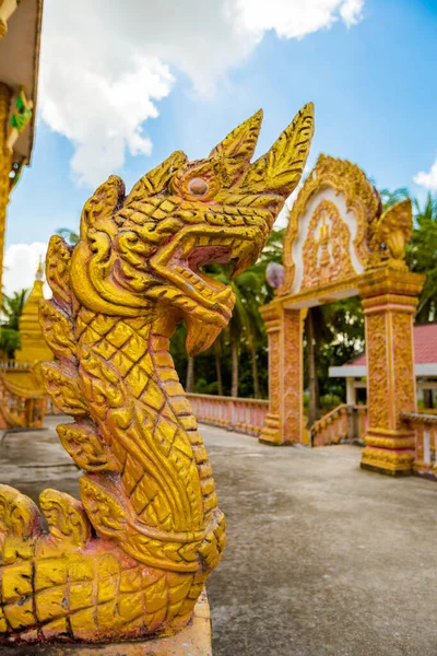 Chau Doc Vietnam Gennaio 2020 Architettura Del Bellissimo Tempioan Giang — Foto Stock