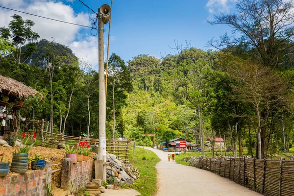 Phong Nha Vietnam Február 2020 Gyönyörű Zöld Élénk Táj Nemzeti — Stock Fotó