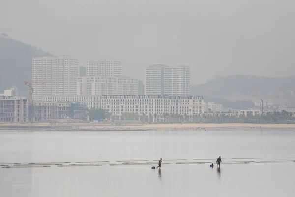 Long Vietnam March 2020 Beautiful Landscape Halong Bay Seaside Scenery — Fotografia de Stock