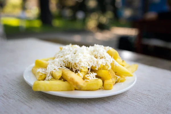 Läckra Färgglada Vegetariska Lokala Mat Pommes Frites Med Ost Restaurang — Stockfoto