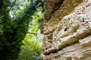 Bulgaristan 'daki Beautoful Aladzha kaya manastırı. Yaz manzarası, din kavramı.