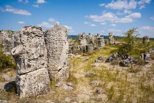 Taş çölün güzel yaz manzarası, Bulgarya 'daki Pobiti Kamani parkı. Mavi gökyüzü ile çekilmiş fotoğraf.