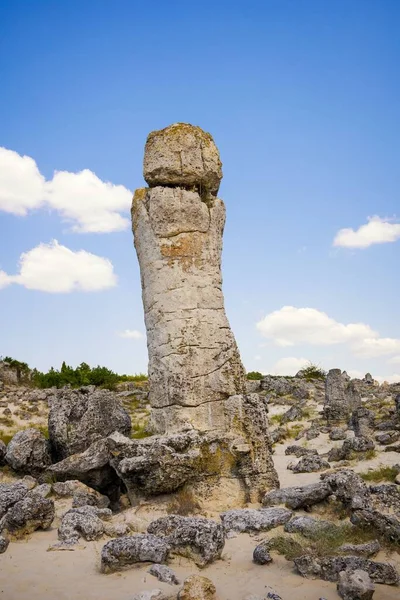 Taş çölün güzel yaz manzarası, Bulgarya 'daki Pobiti Kamani parkı. Mavi gökyüzü ile çekilmiş fotoğraf.