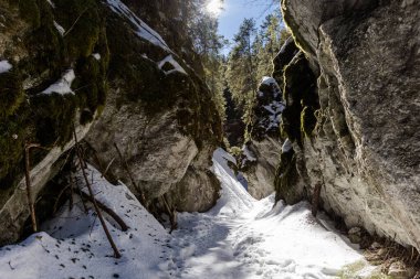 Güzel Polonya batı Tatra dağları kışın manzarası. Güneşli manzara - Krakow Vadisi karla kaplı