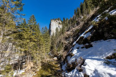 Güzel Polonya batı Tatry dağları kışın manzarası. Güneşli bir manzara - Dolina Koscieliska Vadisi