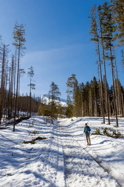 Bellissimo Paesaggio Montuoso Polacco Occidentale Tatry Durante Inverno Panorama Soleggiato — Foto Stock