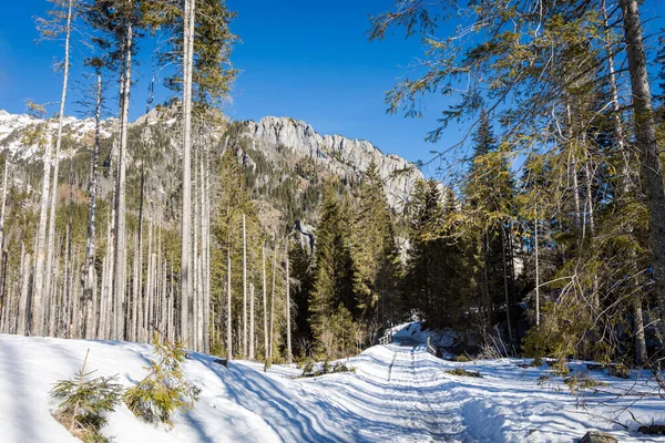 Krásná Polská Krajina Západě Tatry Hory Během Zimy Slunečné Panorama — Stock fotografie