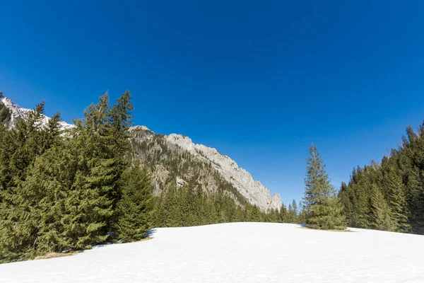 Vackra Polish Westtatry Berg Landskap Vintern Soligt Panorama Dolina Koscieliska — Stockfoto