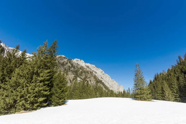 Mooie Polish Westtatry Bergen Landschap Tijdens Winter Zonnig Panorama Dolina — Stockfoto