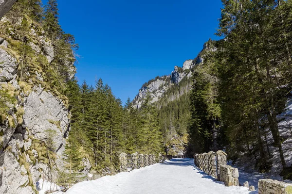 Krásná Polská Krajina Západě Tatry Hory Během Zimy Slunečné Panorama — Stock fotografie