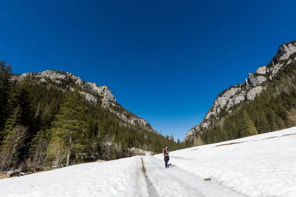 Bellissimo Paesaggio Montuoso Polacco Occidentale Tatry Durante Inverno Panorama Soleggiato — Foto Stock