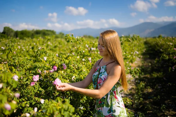 Summer Rose Valley Festival Time Kazanluk Bulgaria Young Pretty Woman — Zdjęcie stockowe