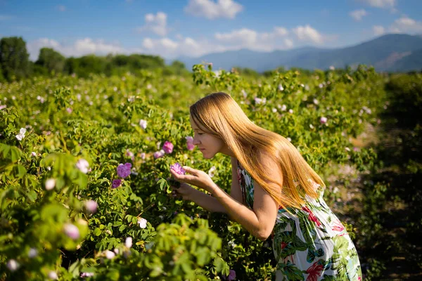 Summer Rose Valley Festival Time Kazanluk Bulgaria Young Pretty Woman — 图库照片