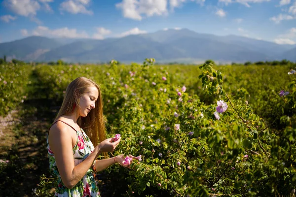 Summer Rose Valley Festival Time Kazanluk Bulgaria Young Pretty Woman — Stockfoto