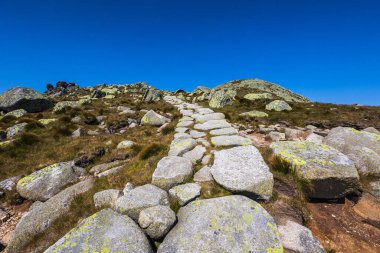 Chopok ve Dumbier Dağı 'nın etrafındaki Slovakya' nın alçak Tatra dağlarında Stefanika sığınağı olan güzel bir patika. Harika hava ve mavi gökyüzü ile yaz manzarası