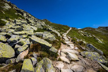Chopok ve Dumbier Dağı 'nın etrafındaki Slovakya' nın alçak Tatra dağlarında Stefanika sığınağı olan güzel bir patika. Harika hava ve mavi gökyüzü ile yaz manzarası