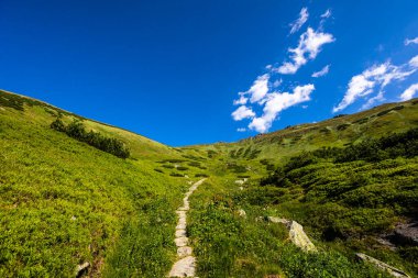 Chopok ve Dumbier Dağı 'nın etrafındaki Slovakya' nın alçak Tatra dağlarında Stefanika sığınağı olan güzel bir patika. Harika hava ve mavi gökyüzü ile yaz manzarası