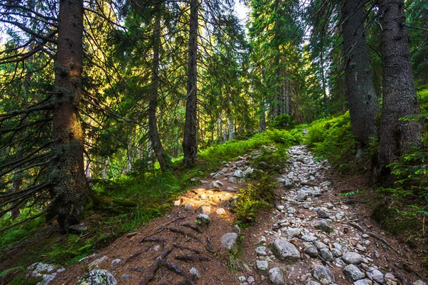 Beautiful Path Chopok Dumbier Mountain Stefanika Shelter Slovakian Low Tatra — Stok fotoğraf