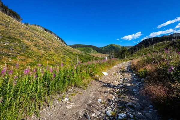 Beautiful Path Chopok Dumbier Mountain Stefanika Shelter Slovakian Low Tatra — Stock fotografie