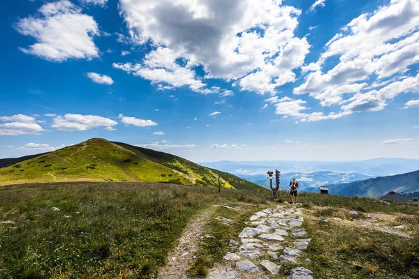 Handsome man on a path around Chopok and Dumbier mountain with Stefanika shelter  - in slovakian low Tatra mountains. Summer panorama with great weather and blue sky