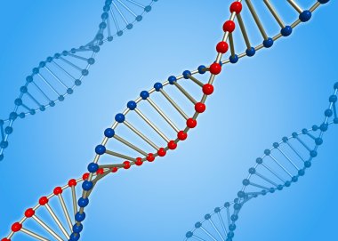 dna molekülü