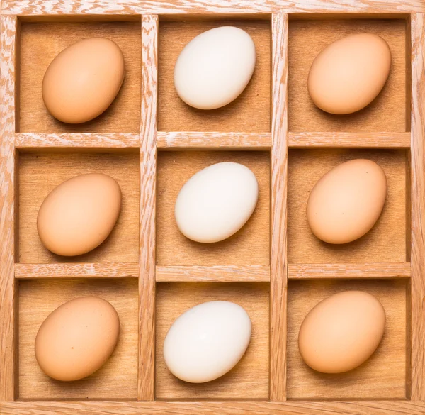 Eggs in shadow box vertical — Stock Photo, Image