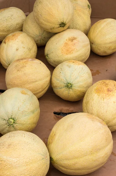 Melones y melones para la venta en el mercado —  Fotos de Stock