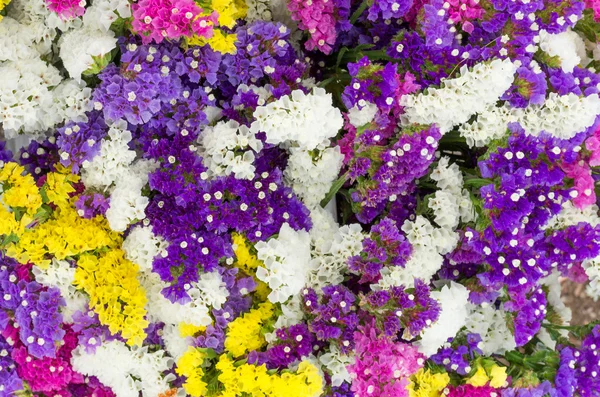 市場での販売のための新鮮な花を房します。 — ストック写真