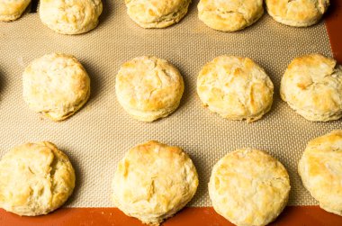 taze pişmiş bisküviler veya çörek