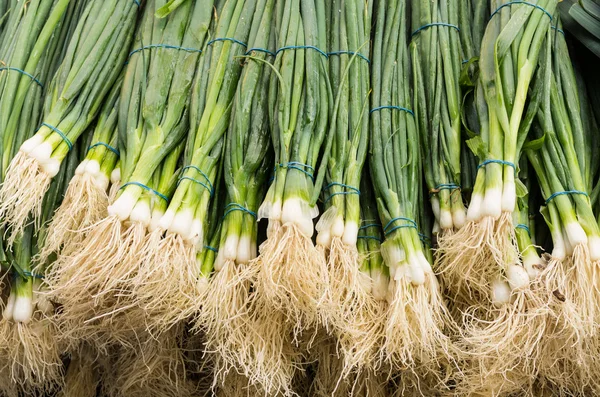 Green onions or scallions on display — Stock Photo, Image