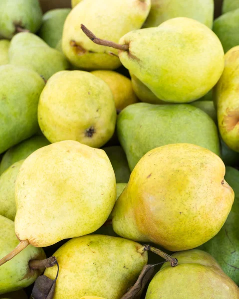 Freshly picked Bartlett pears — Stock Photo, Image
