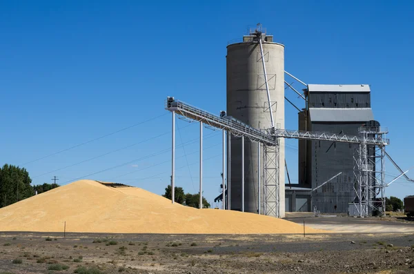 Grain elevator with pile of grain — Stock Photo, Image