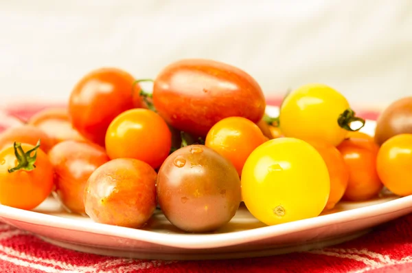 Plate of mixed tomtoes on cloth — Stock Photo, Image