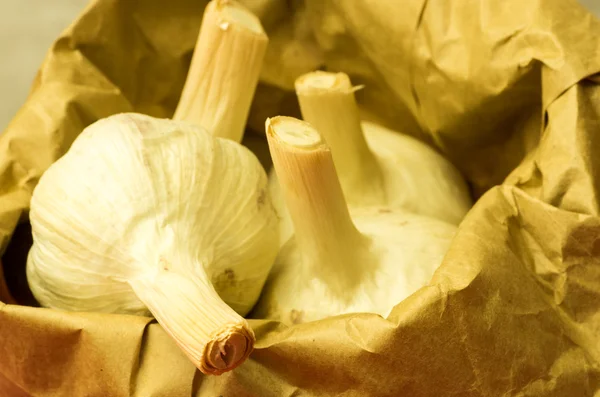 Fresh galic bulbs in storage — Stock Photo, Image