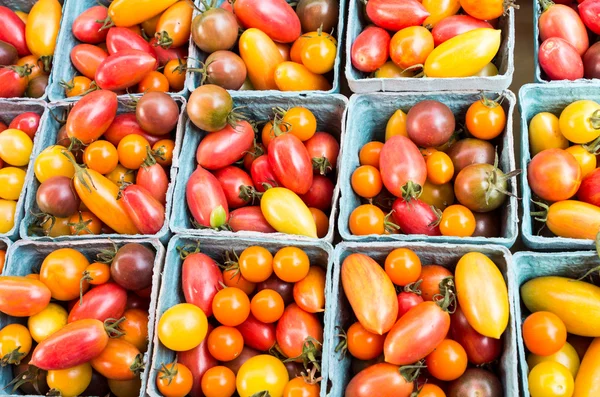 Fresh cherry tomatoes in baskets — Stock Photo, Image