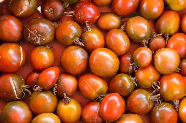 Heirloom tomatoes on display — Stock Photo, Image