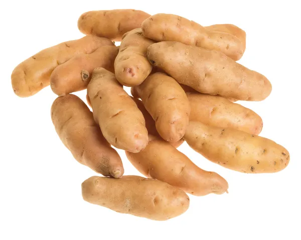 Fingerling aardappelen geïsoleerd op wit — Stockfoto