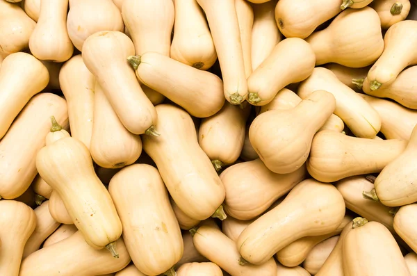 Butternut of winter squash op display — Stockfoto